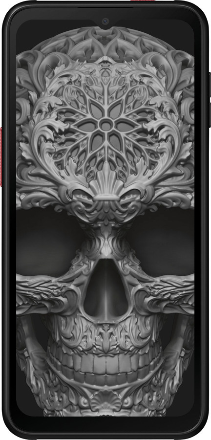 Силиконовый чехол skull-ornament для Samsung Galaxy Xcover 6 Pro - 4101u-2918 изображение 
