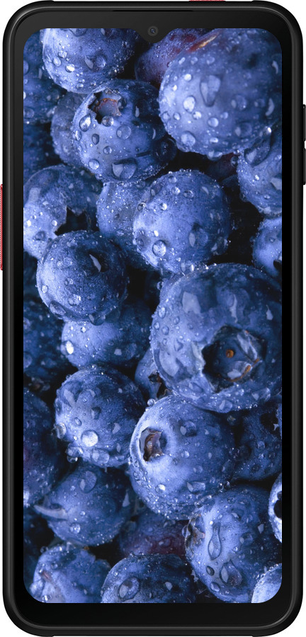 Силиконовый чехол Голубика для Samsung Galaxy Xcover 6 Pro - 4459u-2918 изображение 