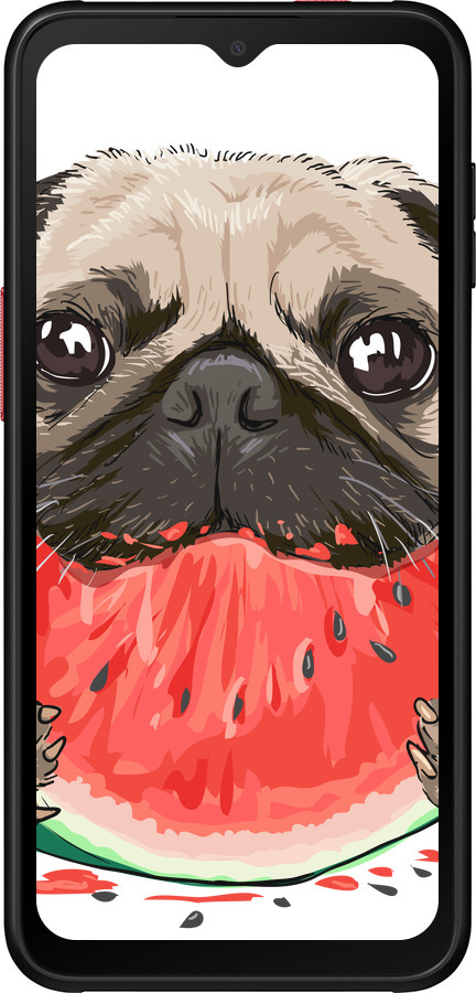 Силиконовый чехол Мопс и арбуз для Samsung Galaxy Xcover 6 Pro - 4665u-2918 изображение 