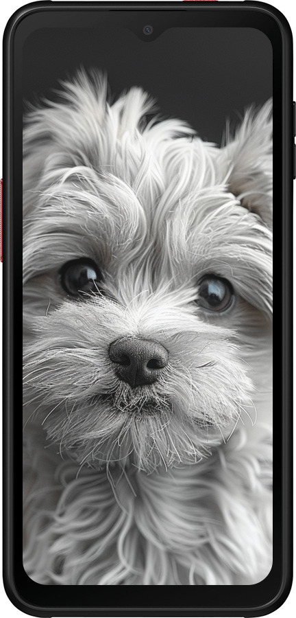 Силиконовый чехол Мальтипу на чорном фоне для Samsung Galaxy Xcover 6 Pro - 6156u-2918 изображение 