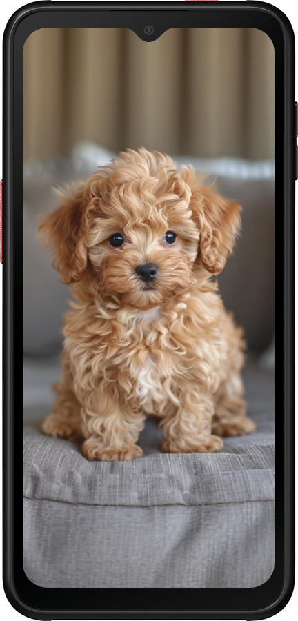 Силиконовый чехол Mini-maltipoo для Samsung Galaxy Xcover 6 Pro - 6158u-2918 изображение 