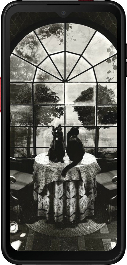 Силиконовый чехол Череп и коты для Samsung Galaxy Xcover 6 Pro - 6432u-2918 изображение 