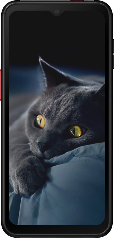 Силіконовий чехол Димчастий кіт для Samsung Galaxy Xcover 6 Pro - 825u-2918 изображение 