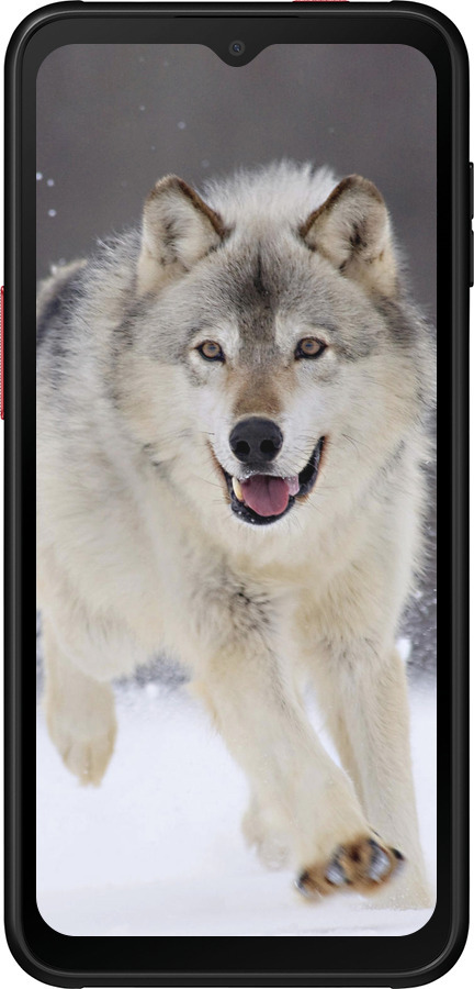 Силиконовый чехол Бегущий волк для Samsung Galaxy Xcover 6 Pro - 826u-2918 изображение 