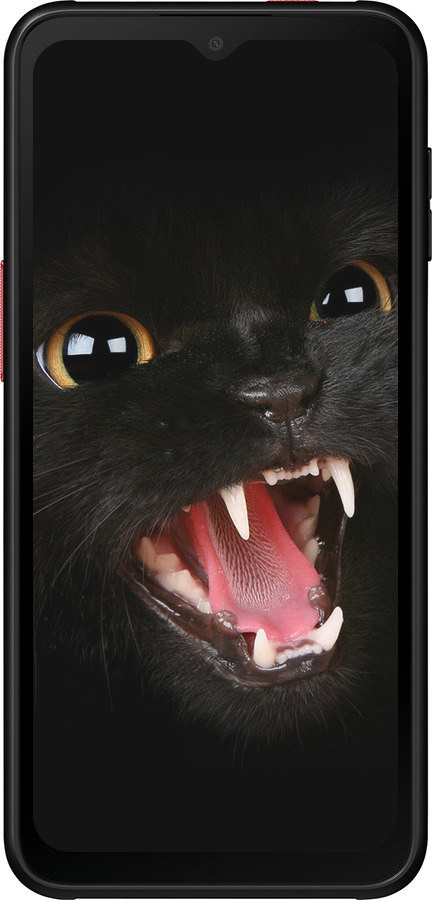 Силиконовый чехол Чёрная кошка для Samsung Galaxy Xcover 6 Pro - 932u-2918 изображение 