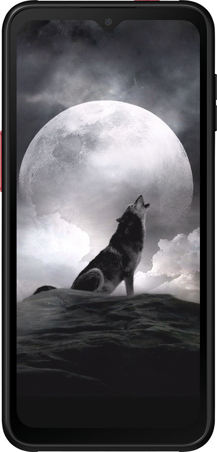 Силиконовый чехол Воющий волк для Samsung Galaxy Xcover 6 Pro - 934u-2918 изображение 