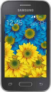 Силиконовый чехол Жёлто-голубые цветы для Samsung Galaxy Young 2 G130h - 1048u-206 изображение 