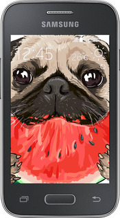 Силиконовый чехол Мопс и арбуз для Samsung Galaxy Young 2 G130h - 4665u-206 изображение 