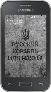 Силиконовый чехол Русский военный корабль иди на v4 для Samsung Galaxy Young 2 G130h - 5223u-206 изображение 