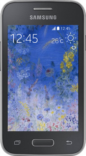 Силиконовый чехол Билокур для Samsung Galaxy Young 2 G130h - 5908u-206 изображение 