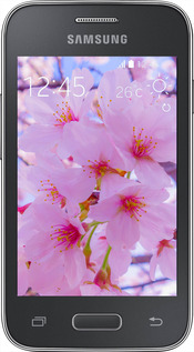 Силіконовий чехол Сакура для Samsung Galaxy Young 2 G130h - 6029u-206 изображение 