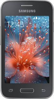 Силиконовый чехол Роса на цветке для Samsung Galaxy Young 2 G130h - 6039u-206 изображение 