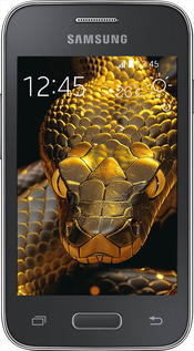 Силиконовый чехол Golden snake для Samsung Galaxy Young 2 G130h - 6072u-206 изображение 