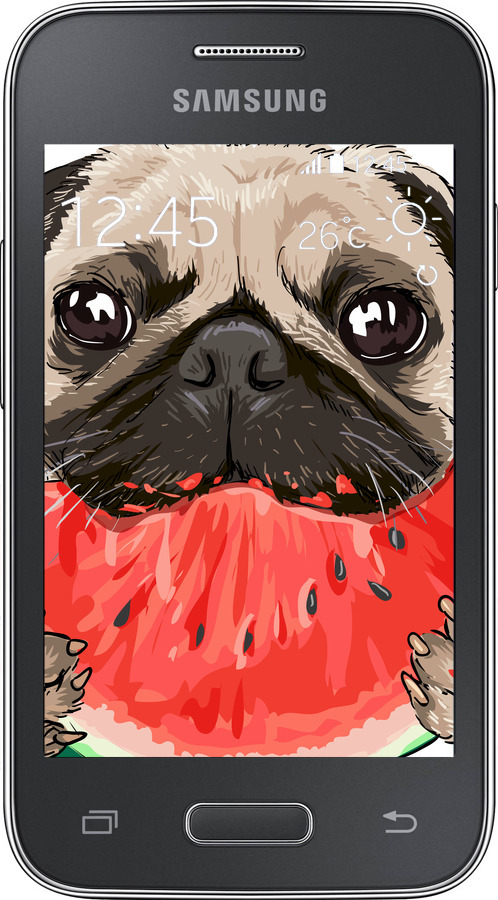 Силиконовый чехол Мопс и арбуз для Samsung Galaxy Young 2 G130h - 4665u-206 изображение 