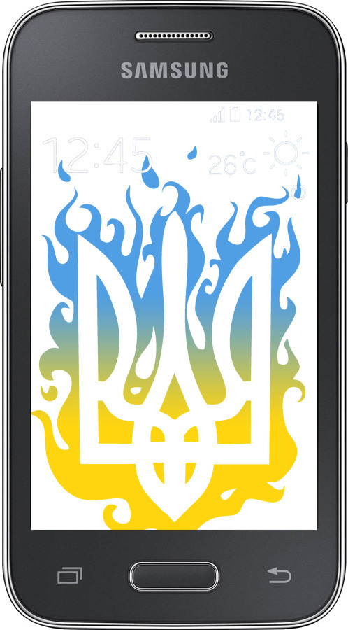Силиконовый чехол Герб v1 для Samsung Galaxy Young 2 G130h - 5258u-206 изображение 