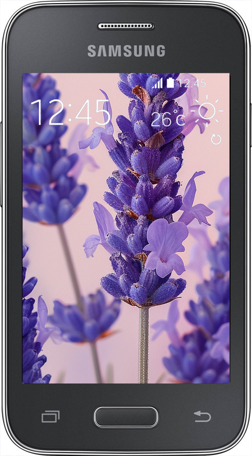 Силиконовый чехол Лаванда для Samsung Galaxy Young 2 G130h - 6037u-206 изображение 