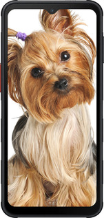 Силиконовый чехол Йоркширский терьер с хвостиком для Samsung Xcover7 Pro - 930u-4092 изображение 