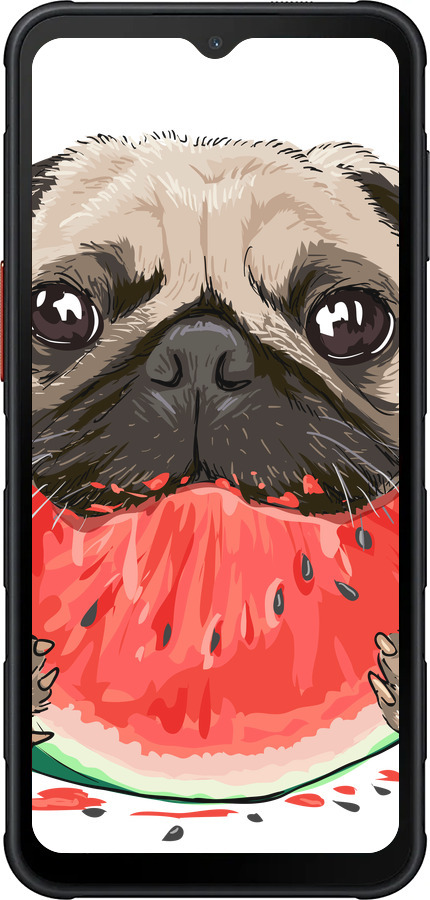Силиконовый чехол Мопс и арбуз для Samsung Xcover7 Pro - 4665u-4092 изображение 