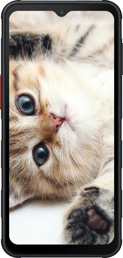 Силиконовый чехол Котик для Samsung Xcover7 Pro - 6024u-4092 изображение 