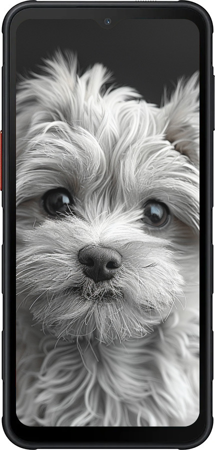 Силиконовый чехол Мальтипу на чорном фоне для Samsung Xcover7 Pro - 6156u-4092 изображение 