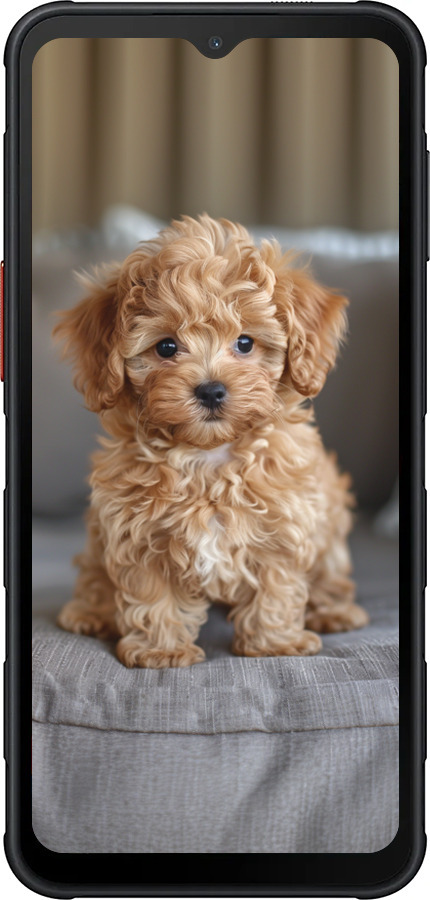 Силиконовый чехол Mini-maltipoo для Samsung Xcover7 Pro - 6158u-4092 изображение 