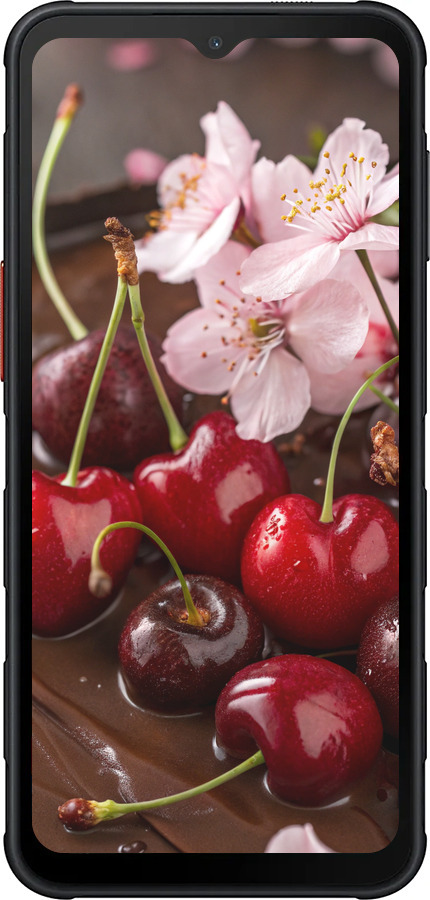 Силиконовый чехол Вишня в шоколаде для Samsung Xcover7 Pro - 6698u-4092 изображение 