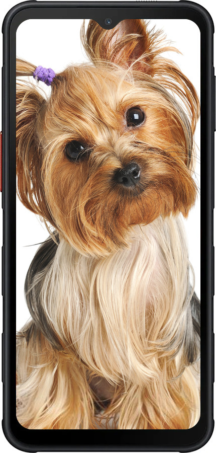 Силиконовый чехол Йоркширский терьер с хвостиком для Samsung Xcover7 Pro - 930u-4092 изображение 