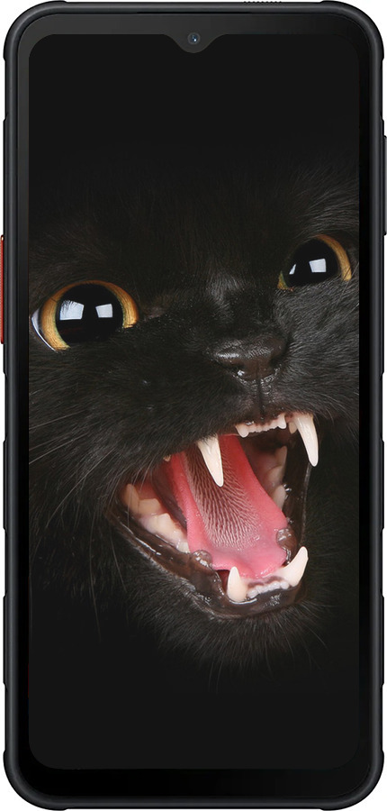 Силиконовый чехол Чёрная кошка для Samsung Xcover7 Pro - 932u-4092 изображение 
