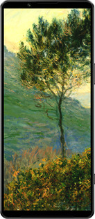 Силіконовий чехол Клод Моне для Sony Xperia 1 IV - 1193u-2787 изображение 