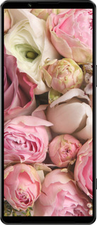 Силиконовый чехол Розы v2 для Sony Xperia 1 IV - 2320u-2787 изображение 