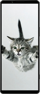 Силиконовый чехол Летящий котёнок для Sony Xperia 1 IV - 2322u-2787 изображение 