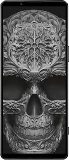 Силиконовый чехол skull-ornament для Sony Xperia 1 IV - 4101u-2787 изображение 