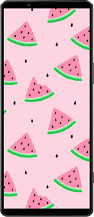 Силиконовый чехол Розовый арбуз для Sony Xperia 1 IV - 4314u-2787 изображение 