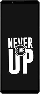 Силиконовый чехол Никогда не сдавайся для Sony Xperia 1 IV - 4572u-2787 изображение 