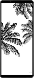 Силиконовый чехол Пальмы1 для Sony Xperia 1 IV - 4634u-2787 изображение 