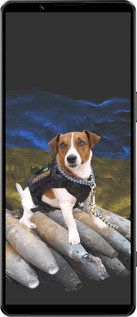 Силиконовый чехол Патрон для Sony Xperia 1 IV - 5320u-2787 изображение 