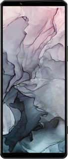 Силиконовый чехол № 5398 для Sony Xperia 1 IV - 5398u-2787 изображение 