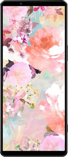 Силиконовый чехол № 5404 для Sony Xperia 1 IV - 5404u-2787 изображение 