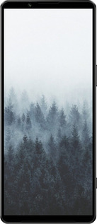 Силиконовый чехол № 5406 для Sony Xperia 1 IV - 5406u-2787 изображение 