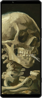 Силиконовый чехол Винсент Ван Гог. Череп для Sony Xperia 1 IV - 5544u-2787 изображение 
