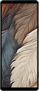 Силиконовый чехол Листья в стиле бохо для Sony Xperia 1 IV - 5643u-2787 изображение 