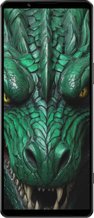 Силиконовый чехол Зелёный дракон v2 для Sony Xperia 1 IV - 5817u-2787 изображение 