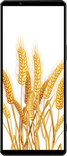 Силиконовый чехол Колоски пшеници для Sony Xperia 1 IV - 5866u-2787 изображение 