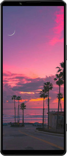 Силиконовый чехол Пальмы для Sony Xperia 1 IV - 5873u-2787 изображение 