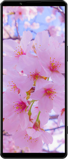 Силиконовый чехол Сакура для Sony Xperia 1 IV - 6029u-2787 изображение 