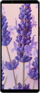 Силиконовый чехол Лаванда для Sony Xperia 1 IV - 6037u-2787 изображение 