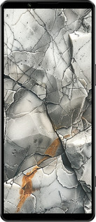 Силиконовый чехол Серый мрамор для Sony Xperia 1 IV - 6041u-2787 изображение 