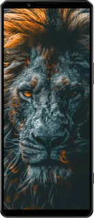 Силиконовый чехол Лев в сумерках для Sony Xperia 1 IV - 6154u-2787 изображение 