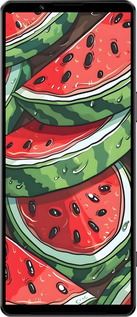 Силиконовый чехол Арбуз для Sony Xperia 1 IV - 6315u-2787 изображение 