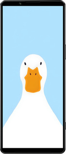 Силиконовый чехол Гусь для Sony Xperia 1 IV - 6350u-2787 изображение 